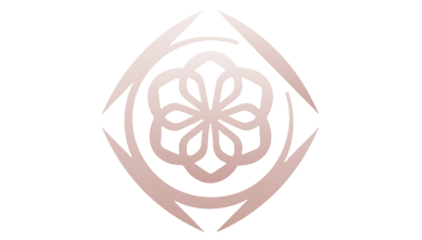 Direia logo